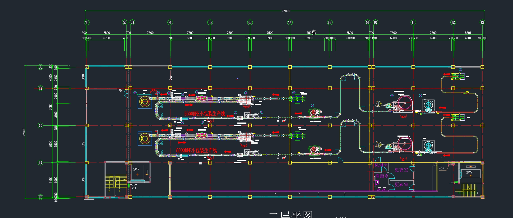 Customized Conveyor System